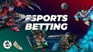 567win Pakistan Casino lobby